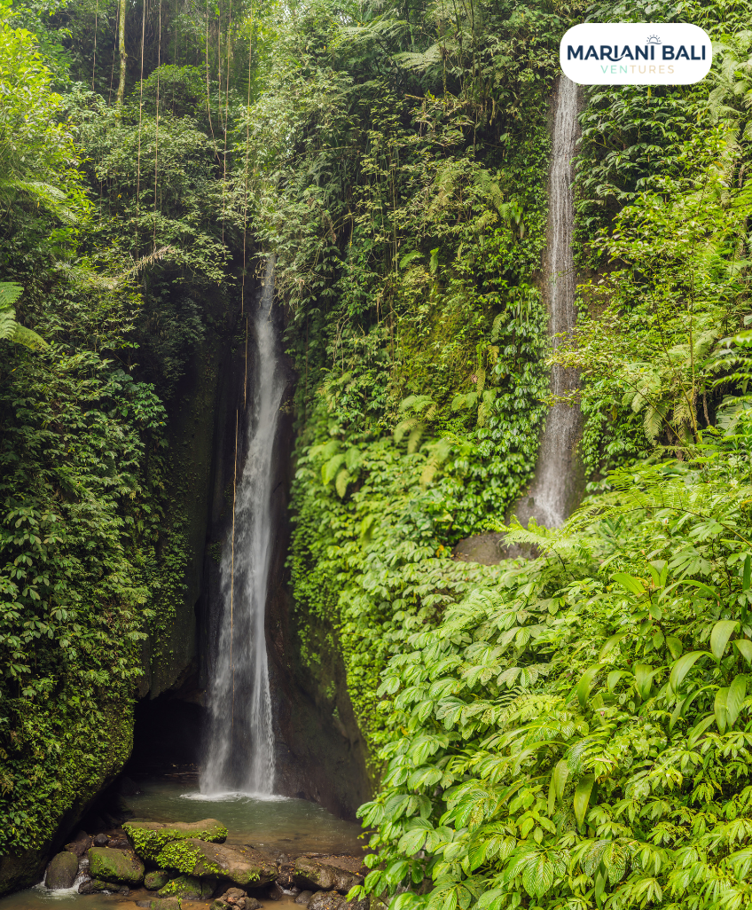 Ubud Complete Nature & Culture Circuit